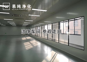潔凈參觀走廊這樣設計大氣不？